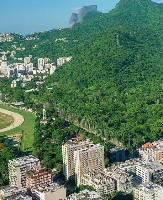 Lançamento Jardim Botânico 266
