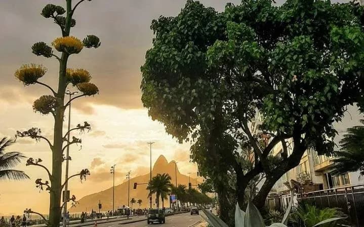 Lançamentos de luxo na Avenida Vieira Souto em Ipanema